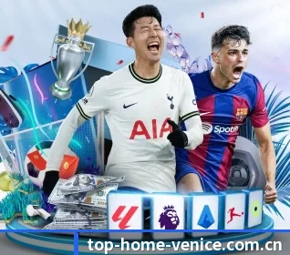 威尼斯人网址 APP 界面